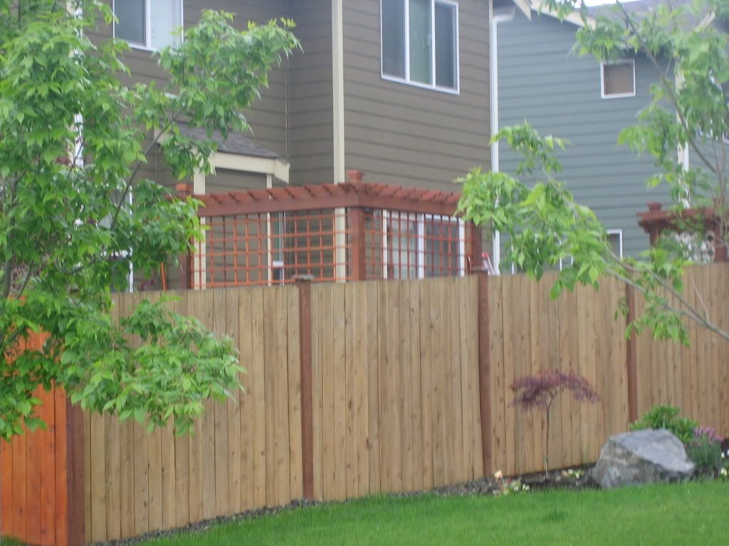 Blockade photo IMG_3735.jpg